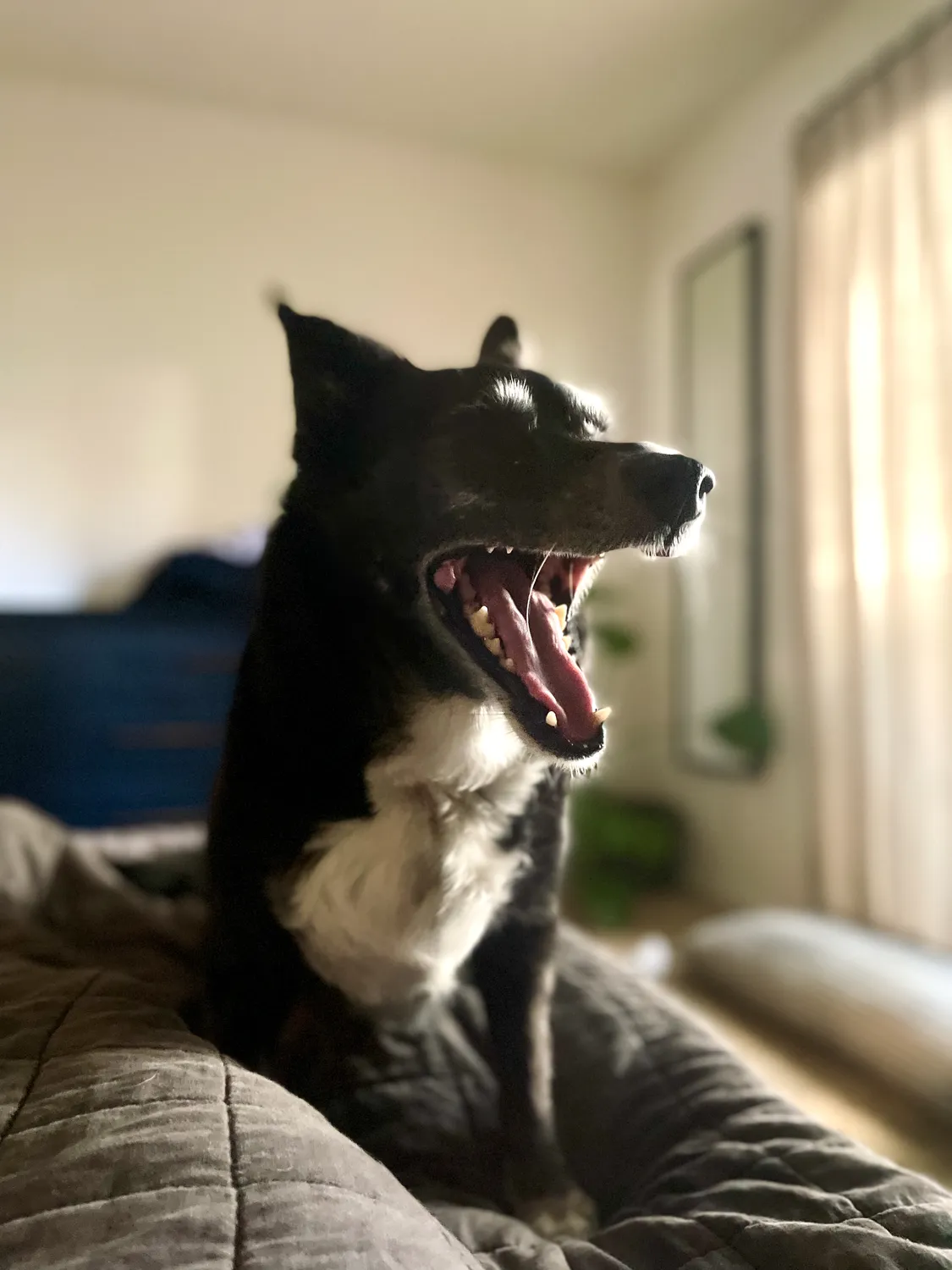 I’d tell jokes and god sometimes it looked like he laughed