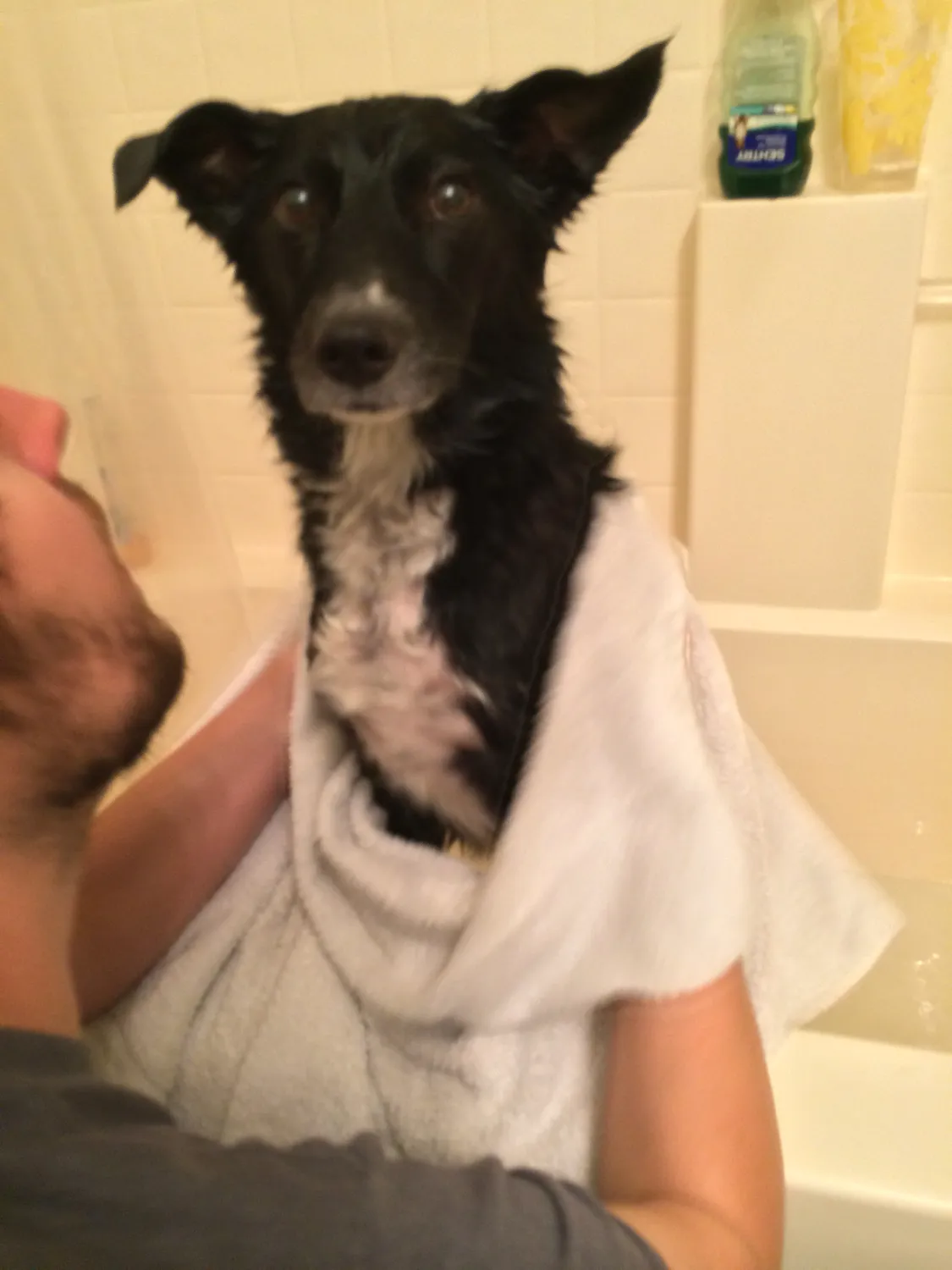 He never liked baths, he only tolerated them