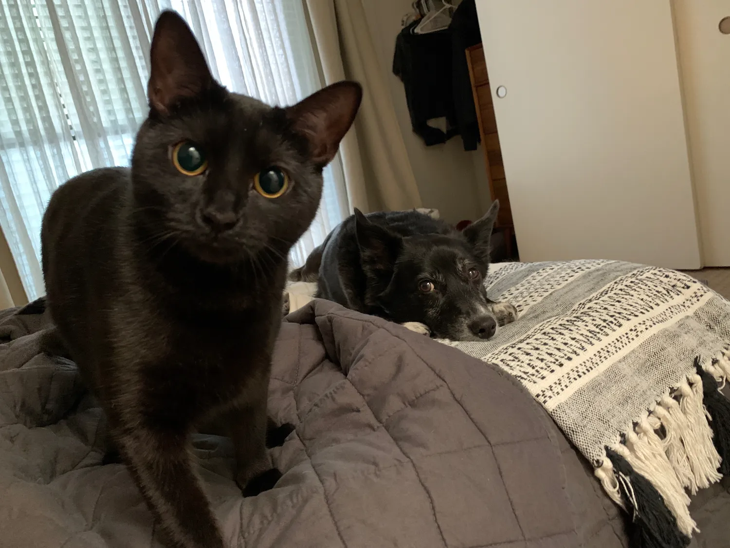 Frankie with murder eyes, Charlie saying you’re on your own here pal