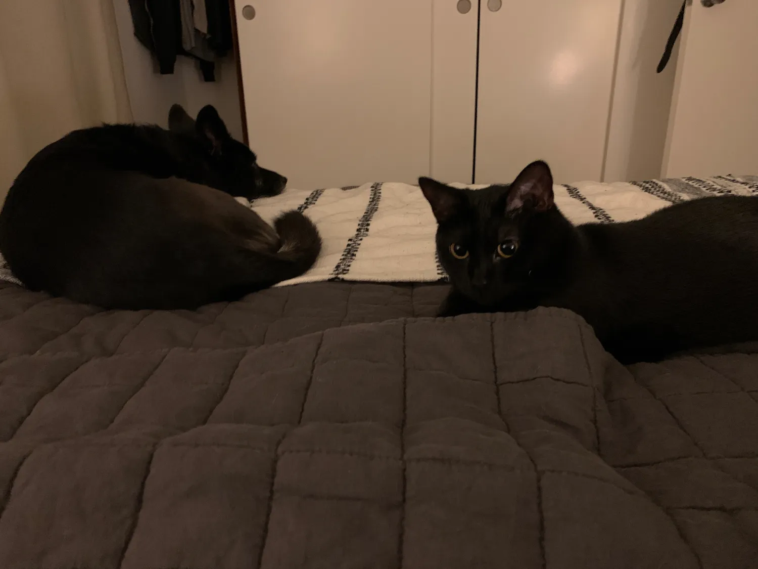 They didn’t always cuddle, but sometimes they got really close