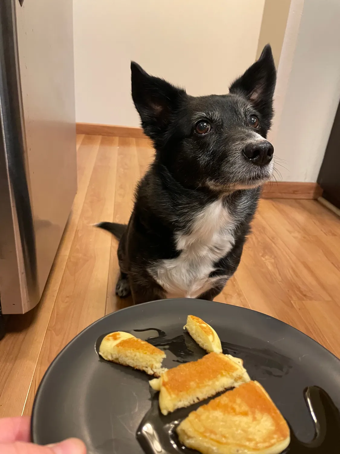I made him pancakes sometimes