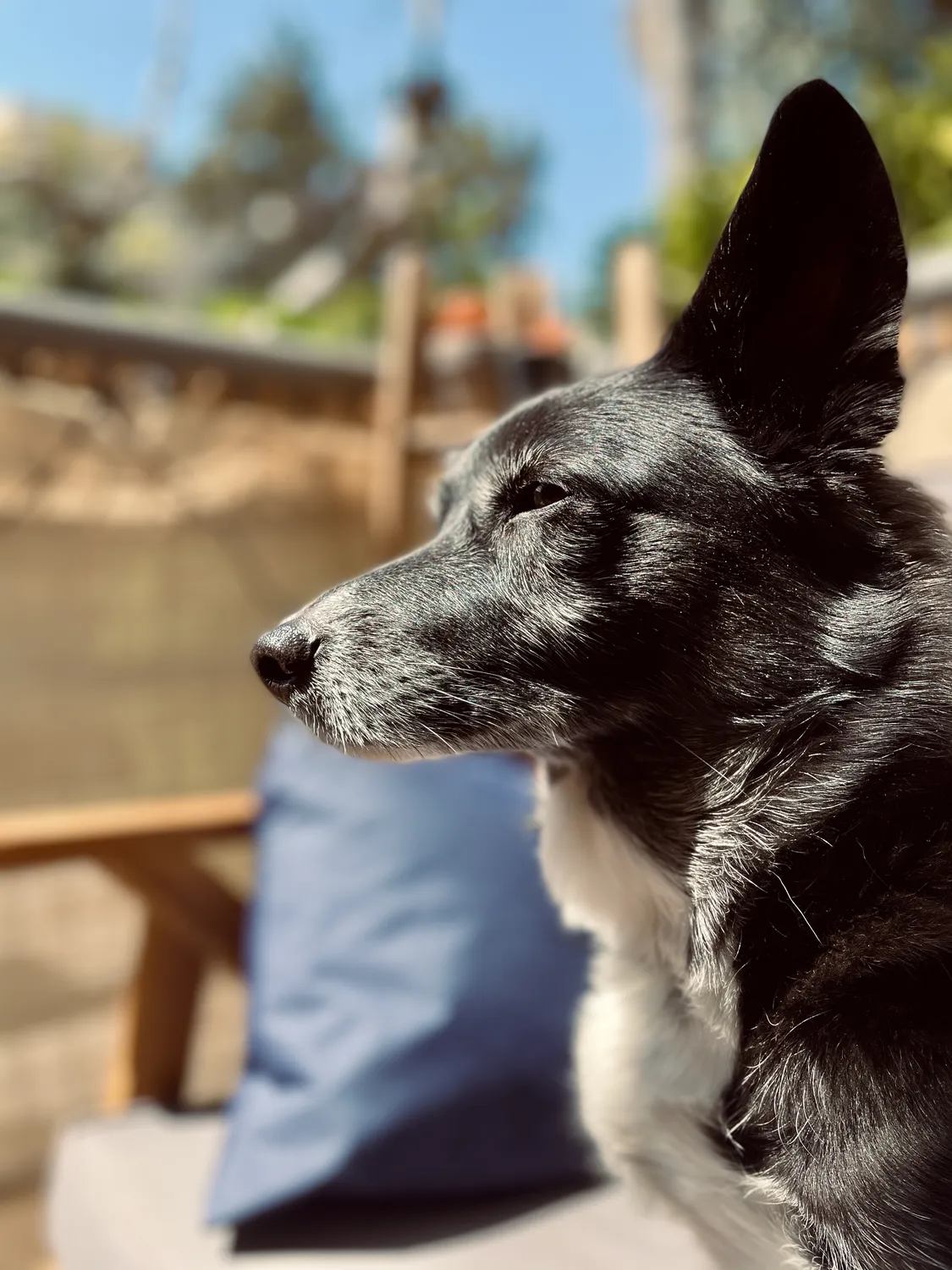 Sunbathing