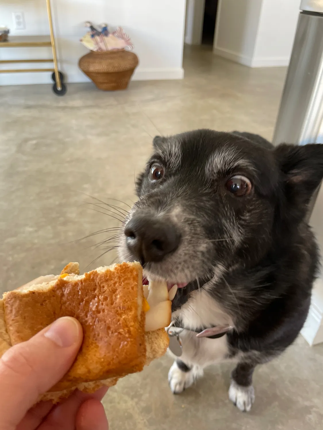Surprise sandwich, Pt. 2