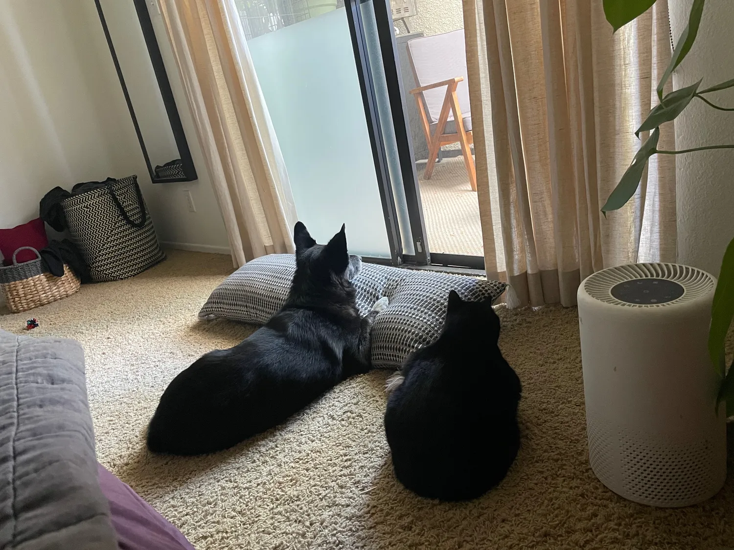 Observing nature with friends