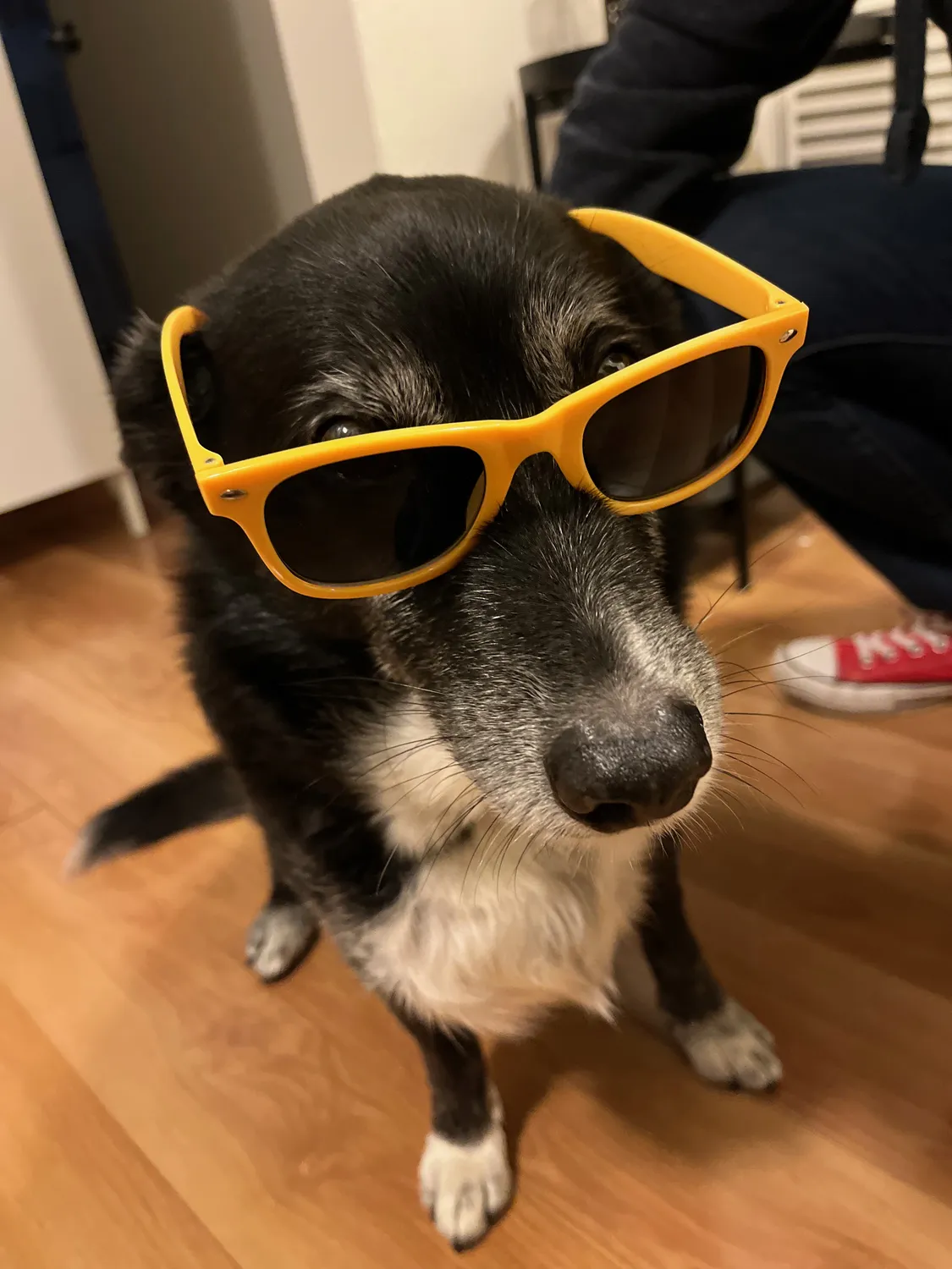Effortlessly cool, as always