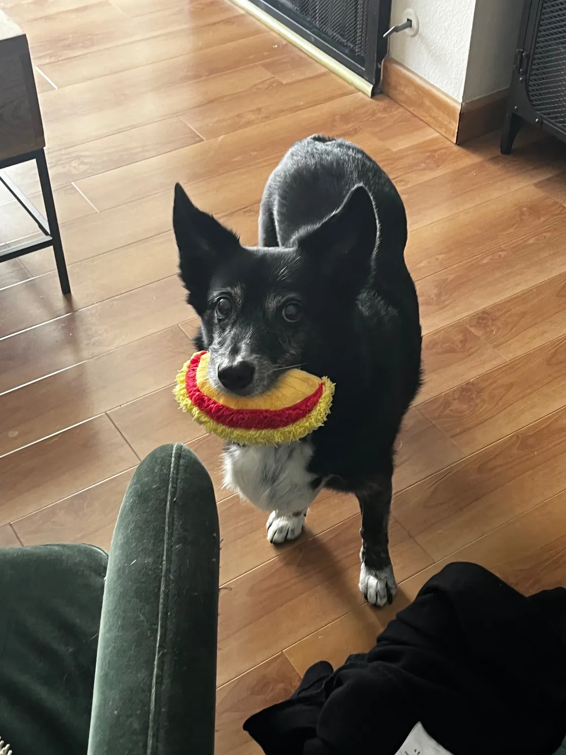 He loved this taco so damned much